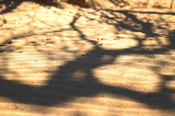 浴室情欲HD三级