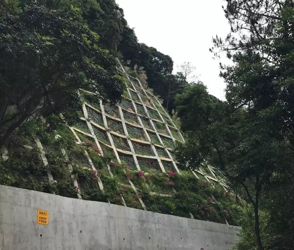 浴室情欲HD三级