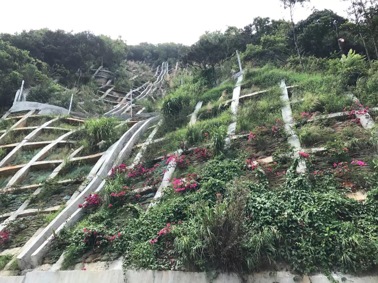 浴室情欲HD三级