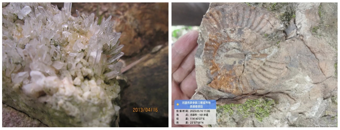 浴室情欲HD三级